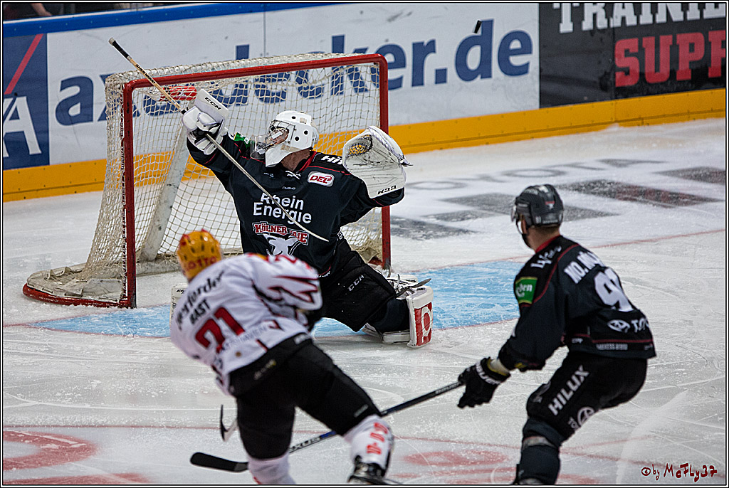 Koelner Haie - Pinguins Bremerhaven, 25.10.2016